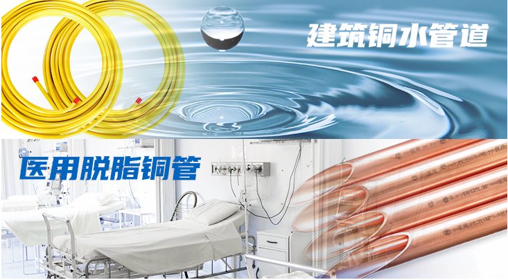bob手机网页版登录入口(官方网站)APP下载