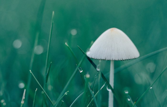 bob手机网页版登录入口(官方网站)APP下载